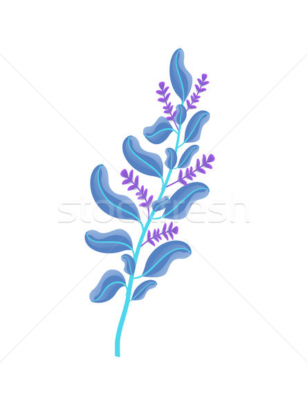 Aromático frescos rama maduro flor saludable Foto stock © robuart
