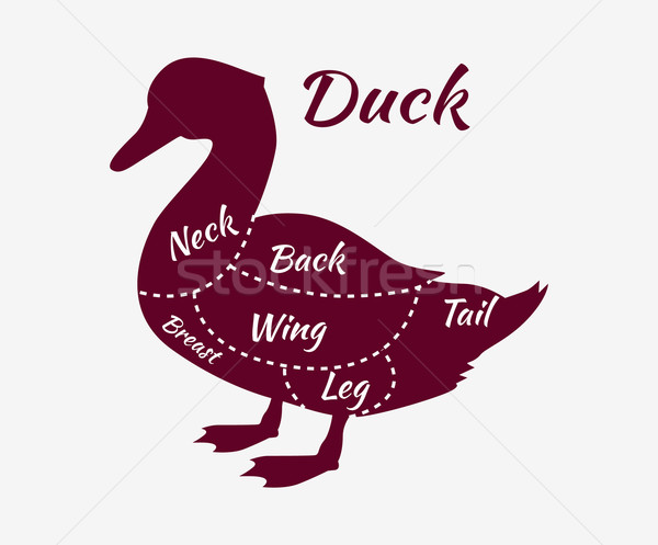 Typographic Duck Butcher Cuts Diagram Stock photo © robuart