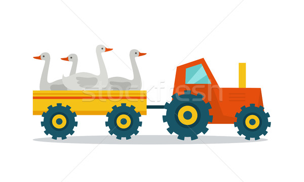 Háziállatok fuvar közlekedés vektor terv traktor Stock fotó © robuart