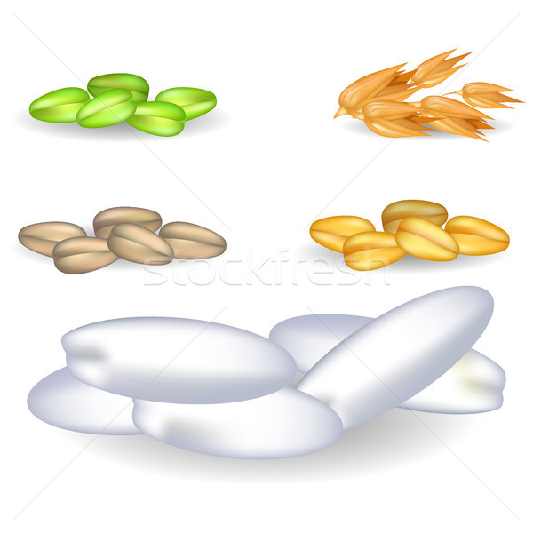 Grains Assortment with Pile of Big Rice and Other Stock photo © robuart