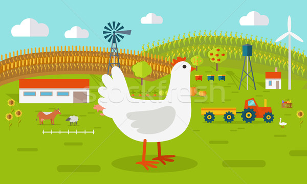 Hen on Farmyard Concept Illustration.   Stock photo © robuart