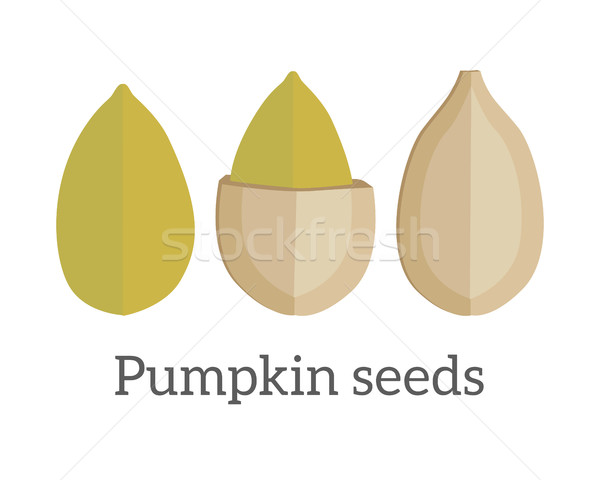Pompoen zaden ontwerp vector stijl traditioneel Stockfoto © robuart