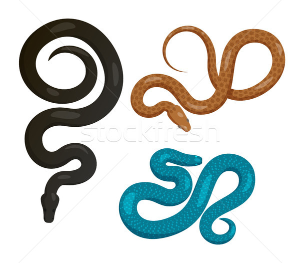 Slither Snakes Top View Vector Icons Set Stock photo © robuart