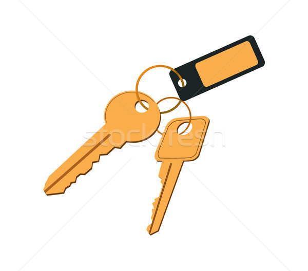 Keys in Keyring with Label Vector Illustration Stock photo © robuart