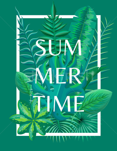 Zomertijd tropische groene planten vector frame Stockfoto © robuart