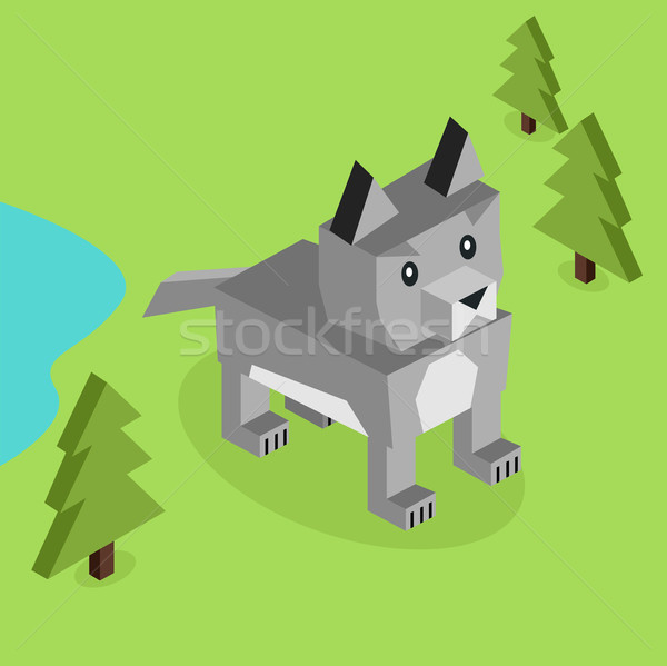 Vadállat farkas izometrikus 3D terv vadállatok Stock fotó © robuart
