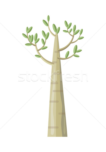 Peuplier arbre feuilles vertes vecteur icône forêt [[stock_photo]] © robuart