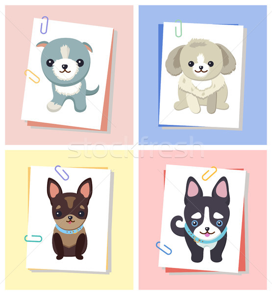 Puppies and Dogs Poster Set Vector Illustration Stock photo © robuart