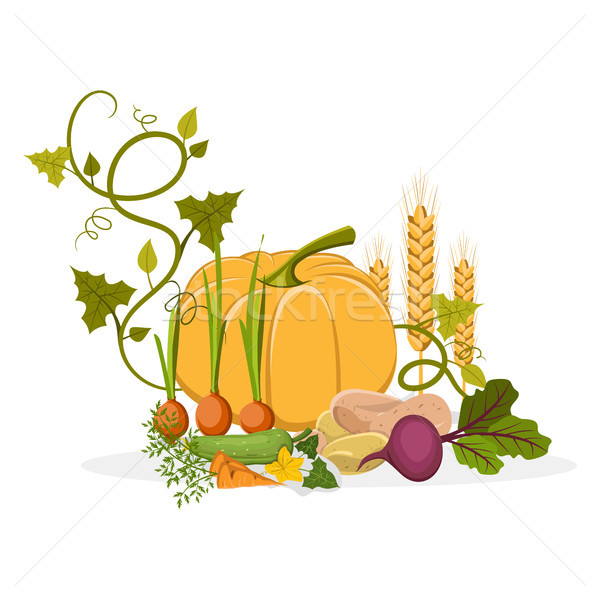Rich Harvest of Delicious Vegetables and Plants Stock photo © robuart