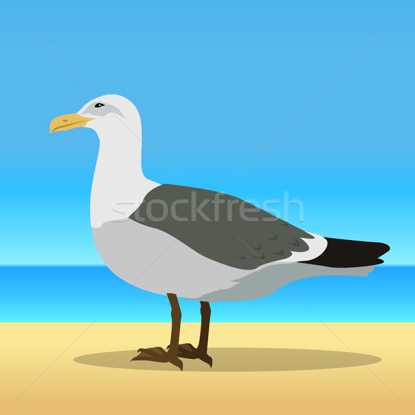 Gull Flat Design Vector Illustration Stock photo © robuart