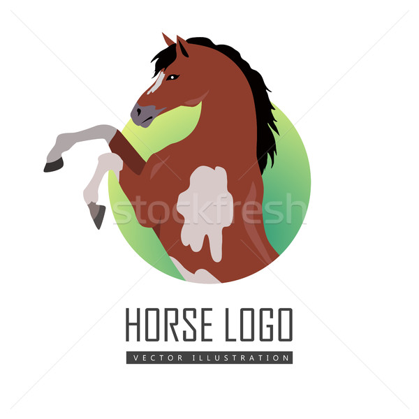 Rearing Pinto Horse Illustration in Flat Design Stock photo © robuart