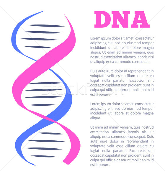 DNA Logotype of Nucleotides Carrying Genetic Info Stock photo © robuart