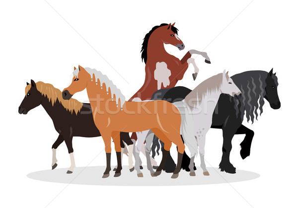 Horse Conceptual Flat Style Vector Web Banner Stock photo © robuart