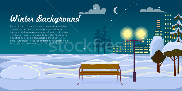 Winter Background. Park Landscape. Christmas Night Stock photo © robuart