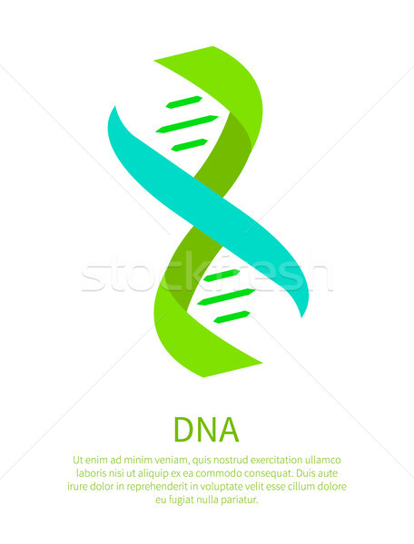 Bright DNA Chain on Scientific Informative Poster Stock photo © robuart