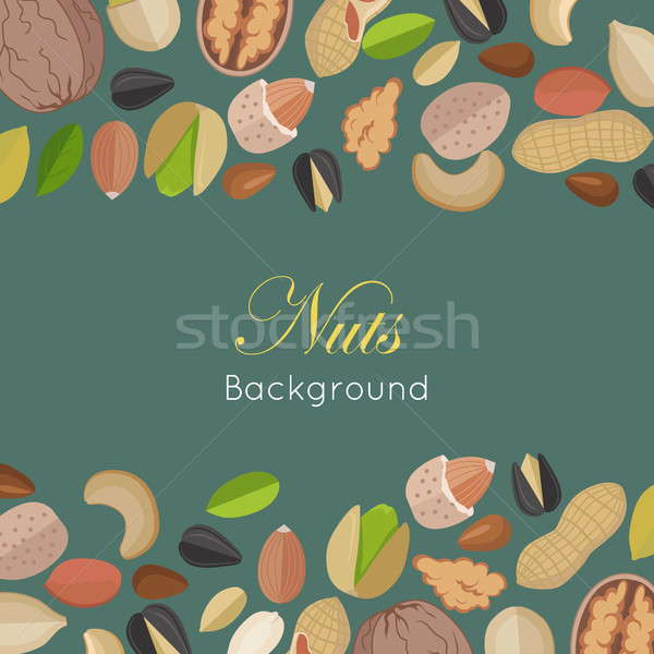 Nuts Background Concept Vector in Flat Design. Stock photo © robuart