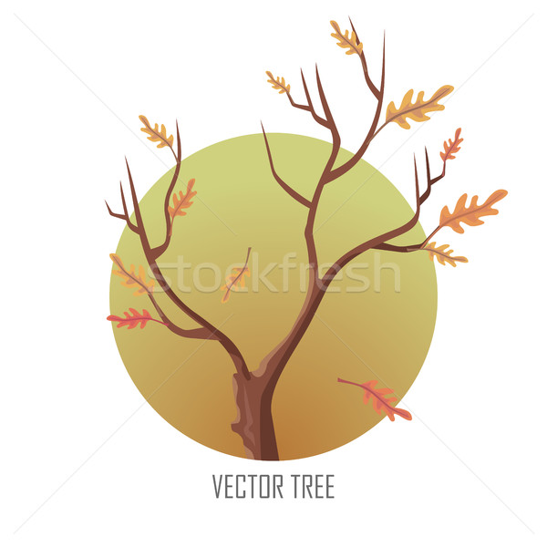 Isolated Oak Tree with Falling Leaves Stock photo © robuart