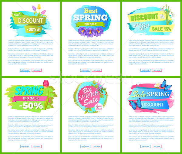Best Choice Big Spring Sale Adver Tag Label Poster Stock photo © robuart