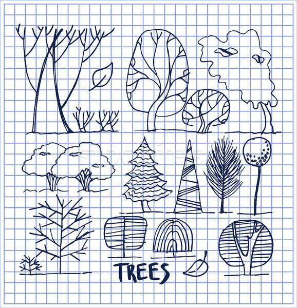 Set of Various Trees Patterns Vector Illustration Stock photo © robuart