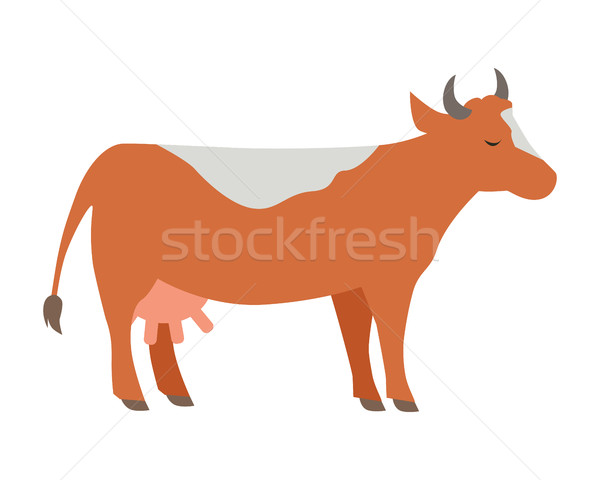 Cow Flat Design Vector Illustration on White. Stock photo © robuart