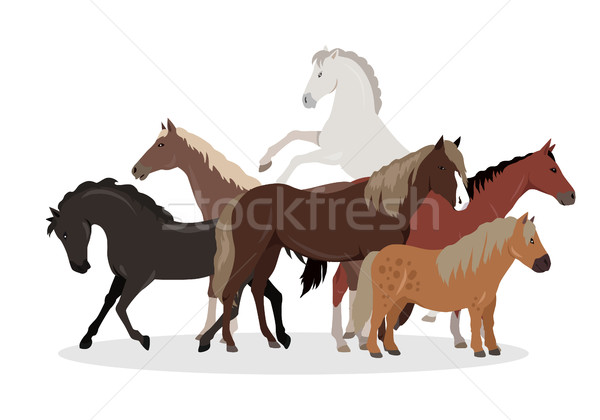 Horse Conceptual Flat Style Vector Web Banner Stock photo © robuart