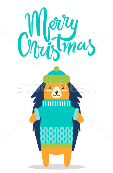 Merry Christmas Greeting Card Cute Hedgehog in Hat Stock photo © robuart