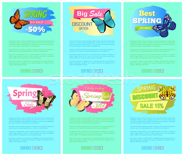 Sale Spring Discount Label Online Poster Butterfly Stock photo © robuart