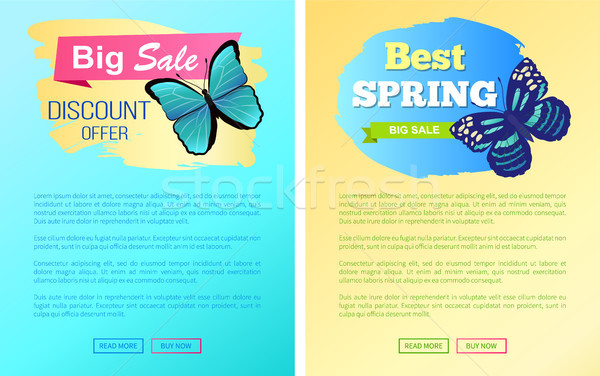 Sale Spring Discount Labels Web Poster Butterflies Stock photo © robuart