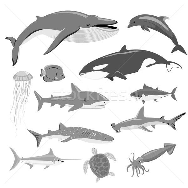 Marinos fauna establecer acuático animales océano Foto stock © robuart