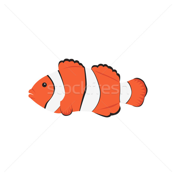 Stock photo: Clown Orange Fish