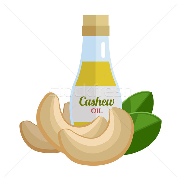 Cashew Oil Vector Illustration in Flat Design. Stock photo © robuart