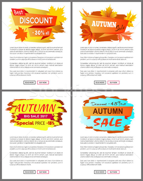Best Offer Special Discounts Autumn Big Sale 2017 Stock photo © robuart