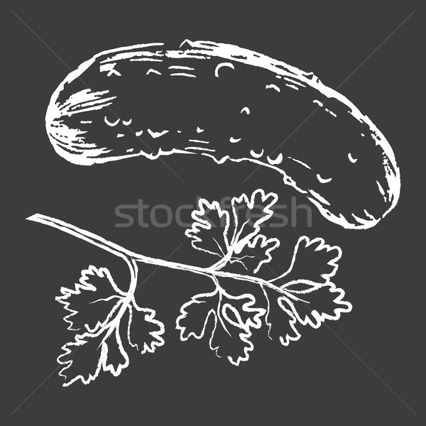 Cucumber and Parsley White Silhouettes on Black Stock photo © robuart