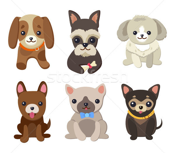 Dogs and Puppies Set Poster Vector Illustration Stock photo © robuart