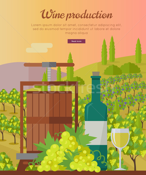 Wine Production Banner. Poster for White Vine. Stock photo © robuart