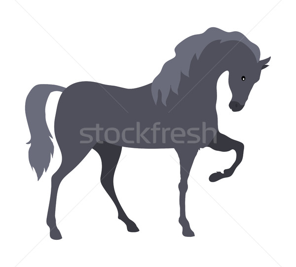 Ló terv szürke stílus vektor háziállat Stock fotó © robuart