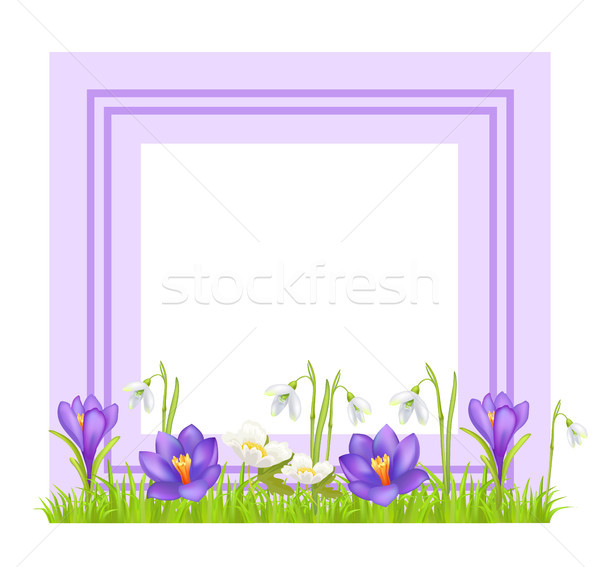 Decorative Frame for Photo or Text Spring Flowers Stock photo © robuart