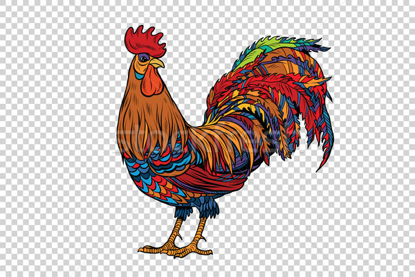 Red rooster, the symbol of 2017 Stock photo © rogistok