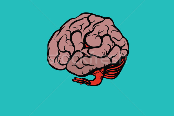 Creierul uman desen animat pop art retro culoare Imagine de stoc © rogistok