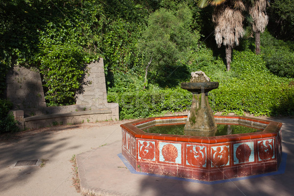 Montjuic Garden Fountain in Barcelona Stock photo © rognar