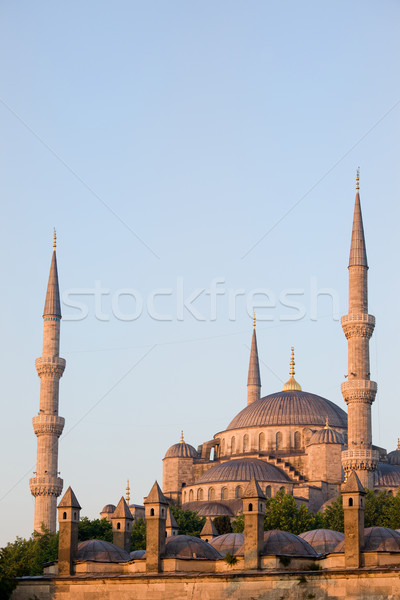Blue Mosque in Istanbul Stock photo © rognar