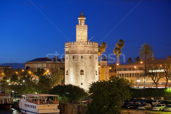 Torre del Oro at Night in Seville Stock photo © rognar