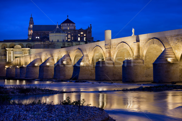 Roman Bridge and Mosque Cathedral in Cordoba Stock photo © rognar