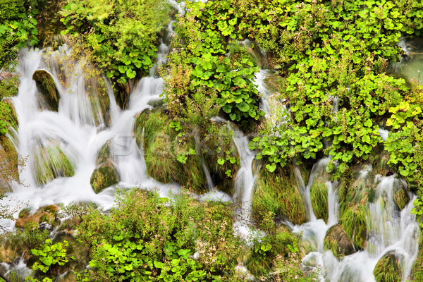Wody kaskada sceniczny parku Chorwacja zielone Zdjęcia stock © rognar