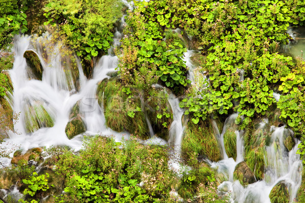 Wasser Kaskade szenische Park Kroatien grünen Stock foto © rognar