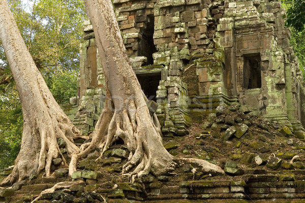 Temple Ruins Stock photo © rognar