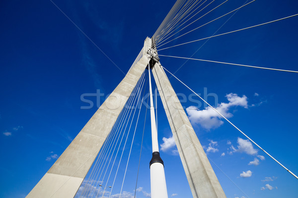 Pont suspendu contemporain forme résumé architecture moderne Varsovie [[stock_photo]] © rognar