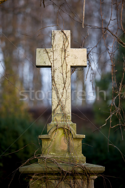 Vintage Tombstone Cross Stock photo © rognar