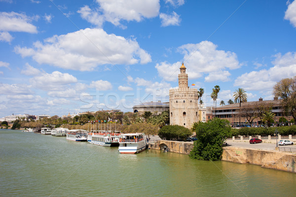 Seville River View Stock photo © rognar