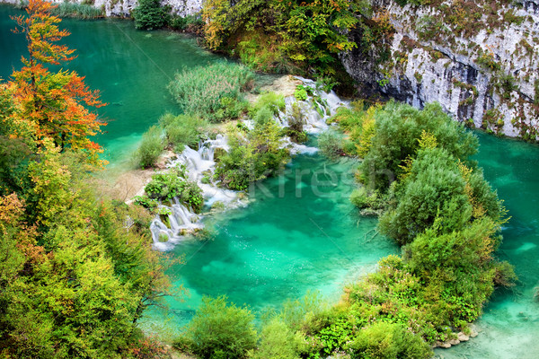 ősz tájkép park Horvátország víz fa Stock fotó © rognar